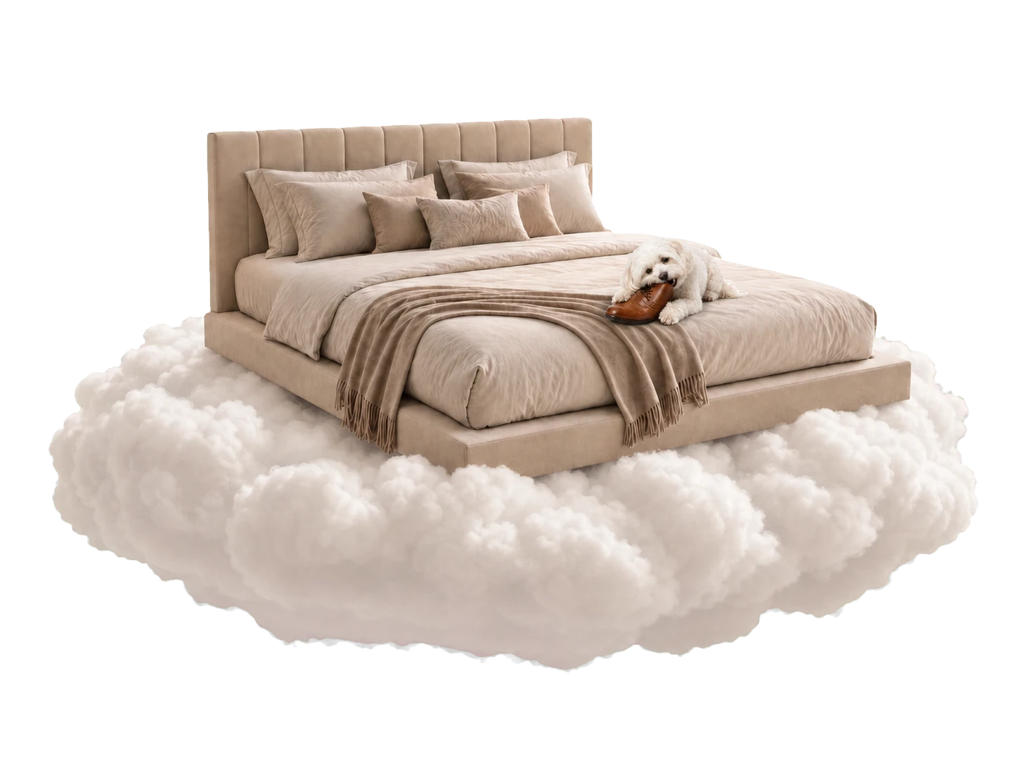 A small white dog biting a brown shoe on a bed floating on a cloud
